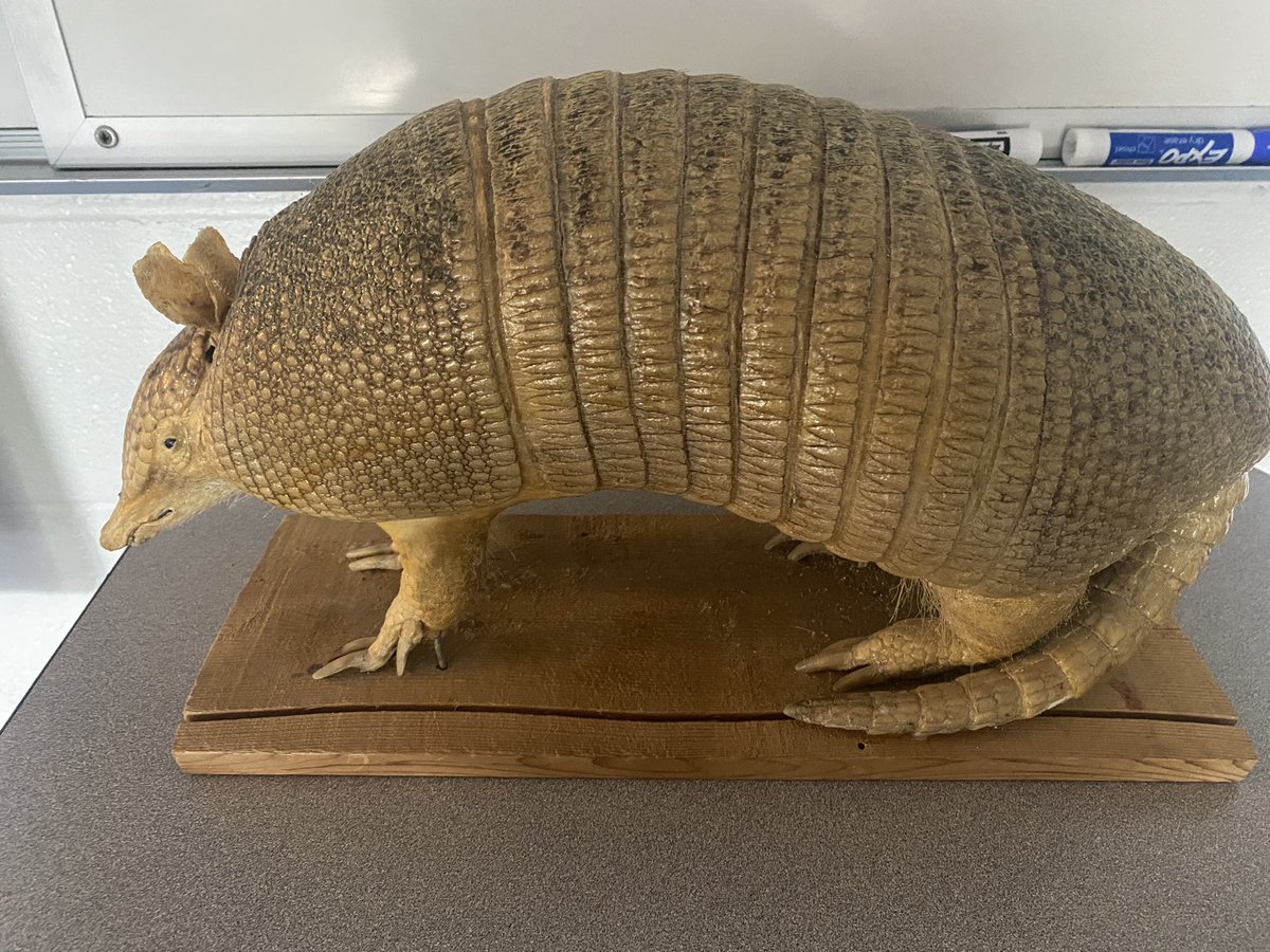 ACHS STEM Academy 9 tweet media