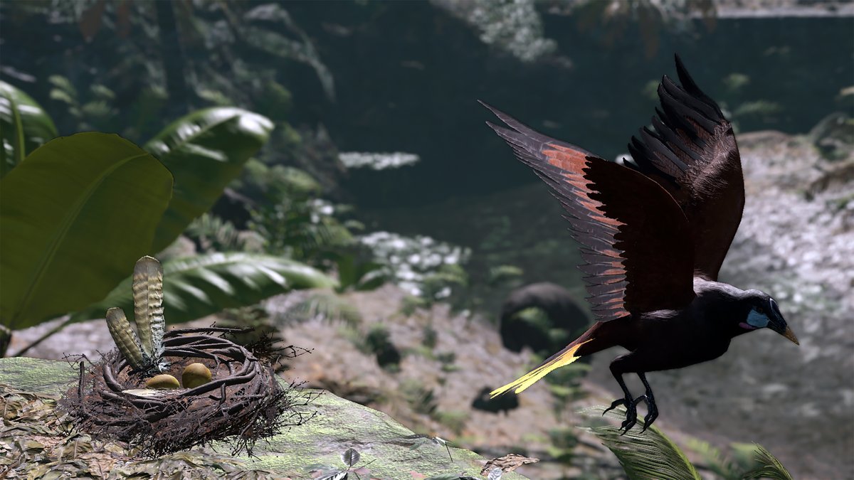 yosigalo's tweet photo. #TombRaider #LaraCroft #TR25 #Computerphoto #ShadowoftheTombRaider #Modversion #maximumuseful #Plusgame #PERUVIANJUNGLE #xbox
Photos, Nature I don't know what the name of the bird, I don't have a lot of nature pictures https://t.co/CpNBxE0fOB