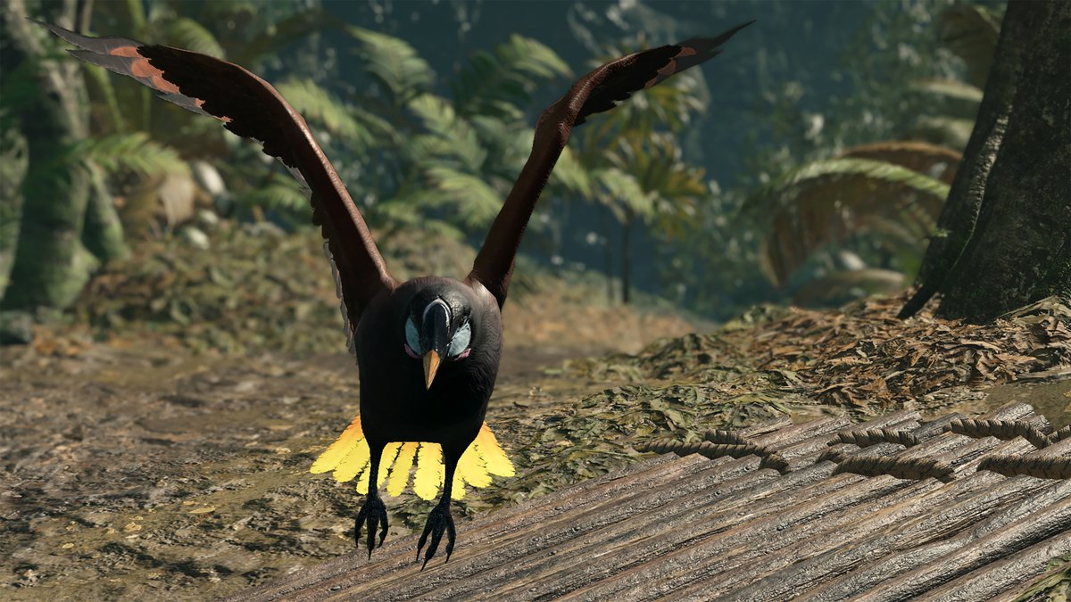 yosigalo's tweet photo. #TombRaider #LaraCroft #TR25 #Computerphoto #ShadowoftheTombRaider #Modversion #maximumuseful #Plusgame #PERUVIANJUNGLE #xbox
Photos, Nature I don't know what the name of the bird, I don't have a lot of nature pictures https://t.co/CpNBxE0fOB