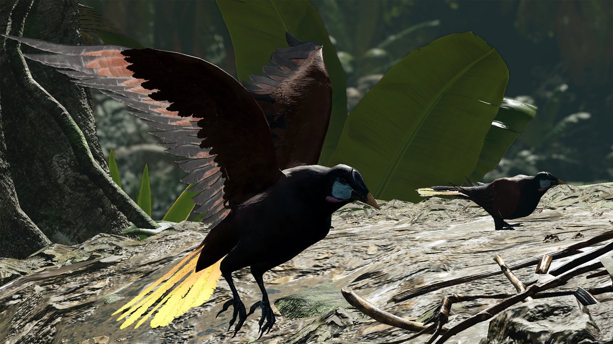 yosigalo's tweet photo. #TombRaider #LaraCroft #TR25 #Computerphoto #ShadowoftheTombRaider #Modversion #maximumuseful #Plusgame #PERUVIANJUNGLE #xbox
Photos, Nature I don't know what the name of the bird, I don't have a lot of nature pictures https://t.co/CpNBxE0fOB