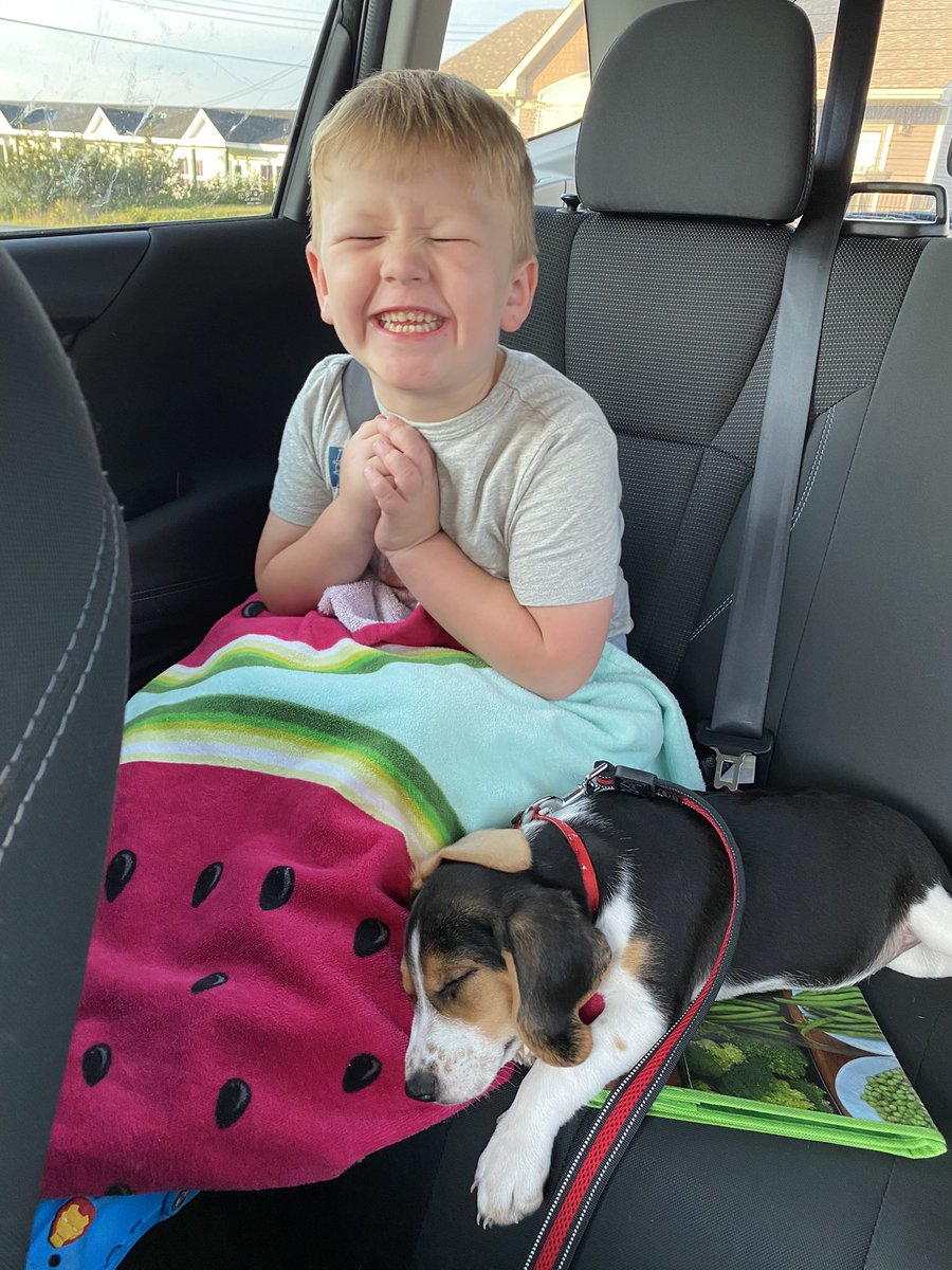 This is the look you get when your almost 5yo has been asking for a puppy since he started talking and finally gets one ❤️