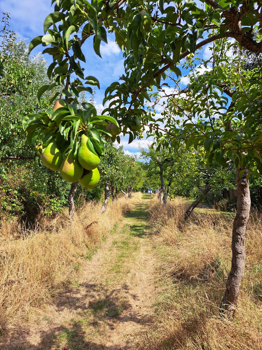Gerrie Abel tweet media