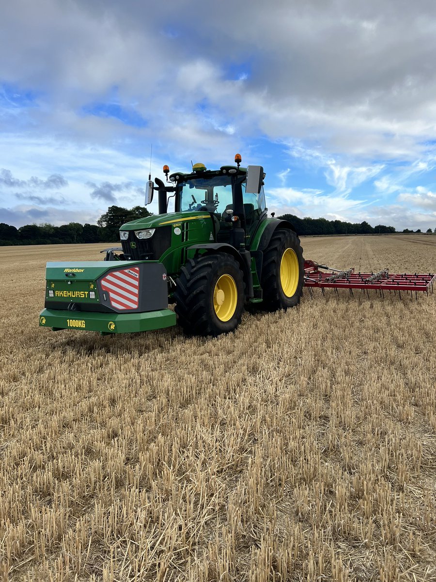 Trying a bit of stubble raking to see if I can get anything to germinate in the dry conditions