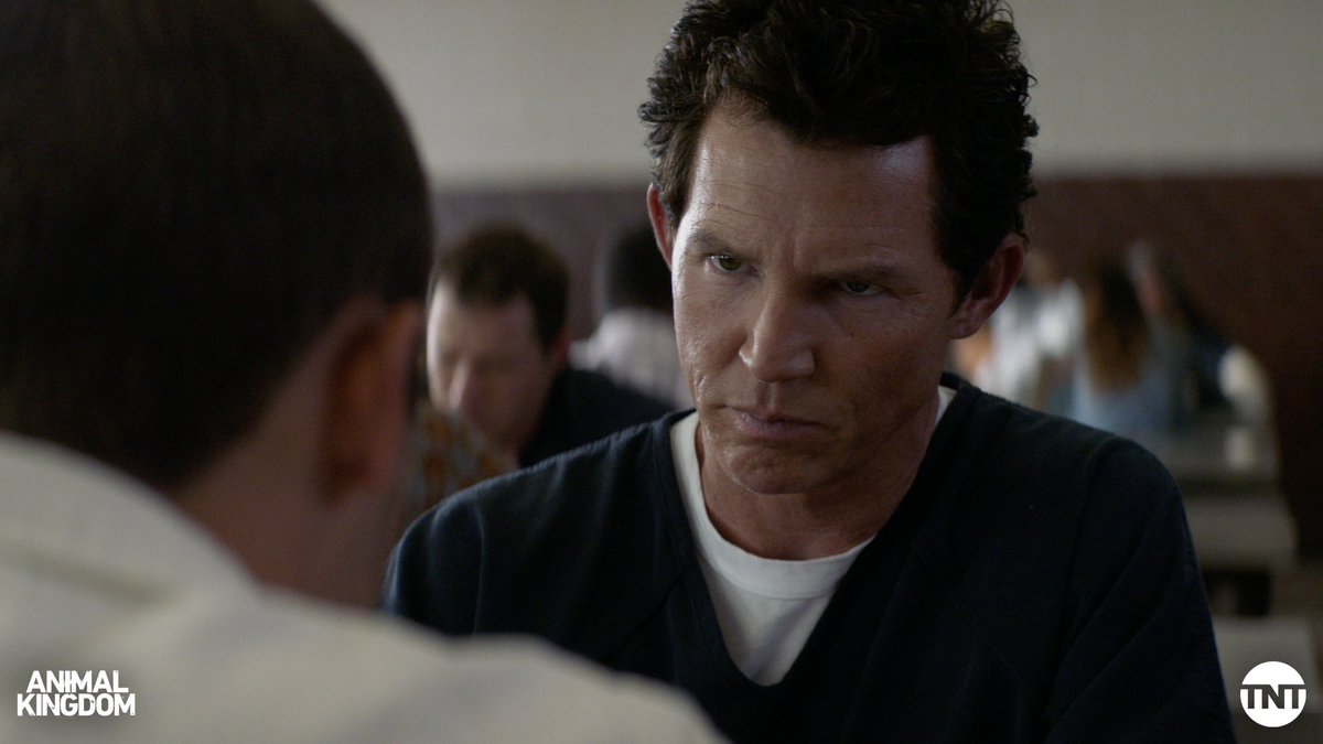 Whether they were sitting in prison or on the beach, shit went down for the Codys last week. The series finale of #AnimalKingdom drops IN FIVE DAYS! Sunday at 9/8c.