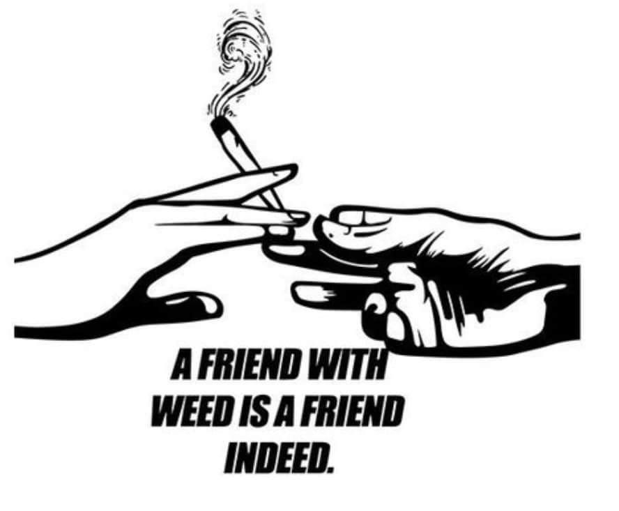 MyMedCard_app's tweet photo. Nothing beats a good friend with some good kush ๐
#MyMedCard #kush #medicalmarijuana #cannabiscommunity https://t.co/YQ7Mwef1xg