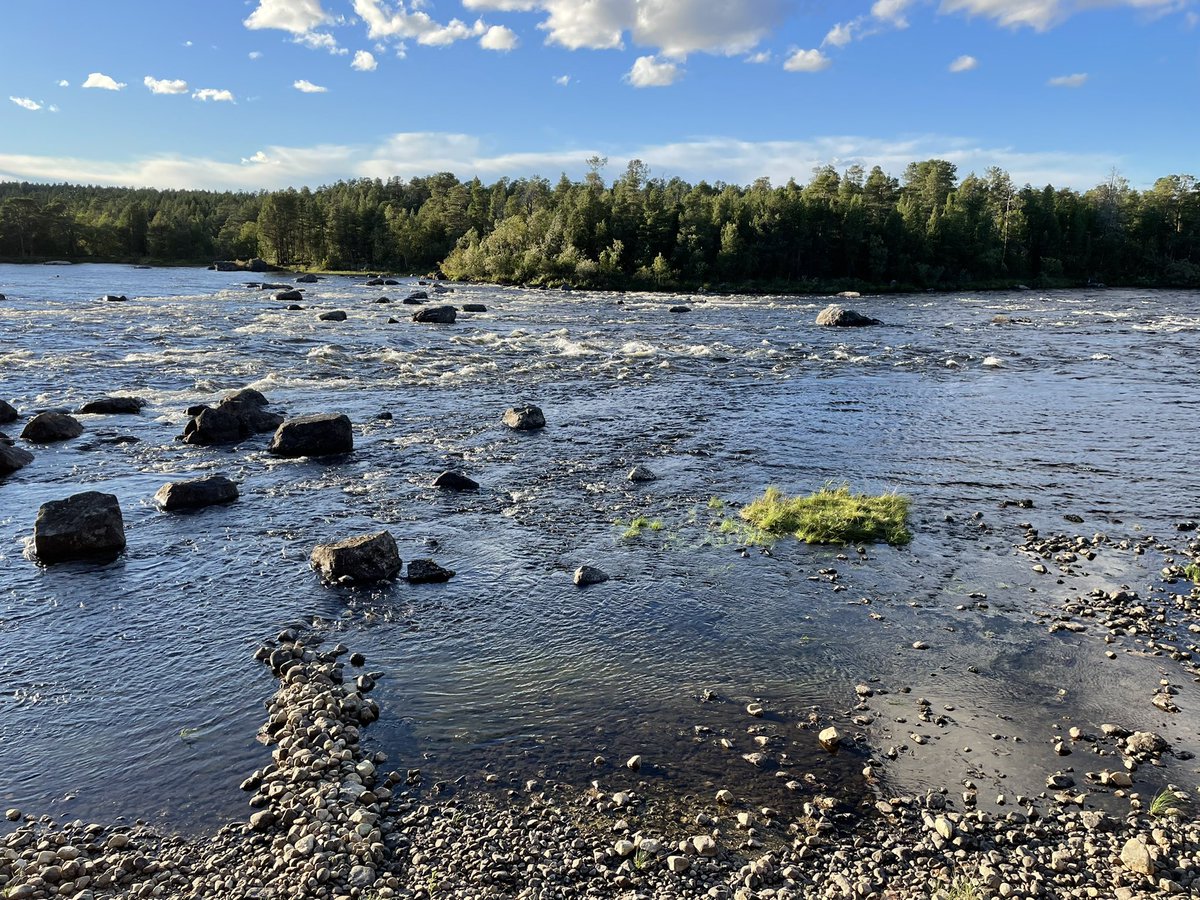 JaanaSorvali's tweet photo. Huomenna alkaa @LukeFinland et al. Poro- ja kalapäivät @SajosInari. Teemana on hyvin ajankohtainen riskeihin varautuminen. Minulta voi kysellä @mmm_fi OSASOPU-hankkeesta, jossa selvitetään sopeutumisen osaamistarpeita. Mukana myös #CLIMINI porotalouden tulevaisuustyöpajoissa. https://t.co/Si1tr5mR57
