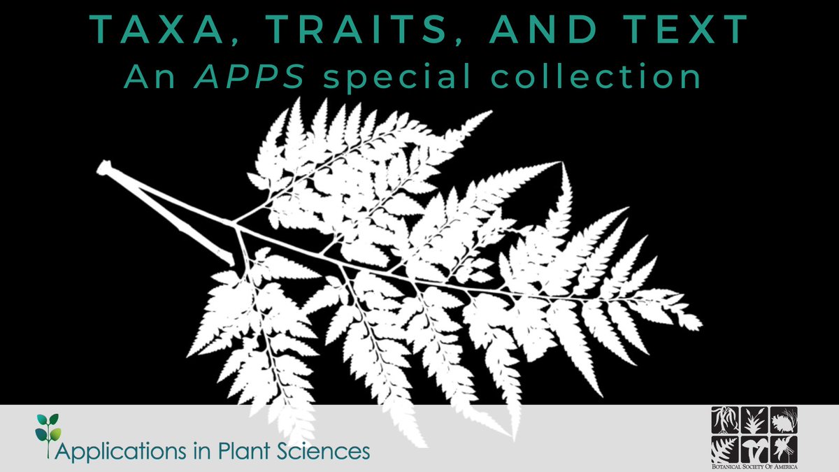 Botanical Society of America (@botanical_) on Twitter photo Featured today in #AppsPlantSci's Taxa, Traits & Text collection: Quaesitor: An open-source program for automated scientific name recognition using artificial #neuralnetworks (by Damon Little) bsapubs.onlinelibrary.wiley.com/doi/10.1002/ap… <a href="/wileyplantsci/">Wiley Plant Science</a> #iamabotanist #machinelearning #botany Featured today in #AppsPlantSci's Taxa, Traits & Text collection: Quaesitor: An open-source program for automated scientific name recognition using artificial #neuralnetworks (by Damon Little) bsapubs.onlinelibrary.wiley.com/doi/10.1002/ap… <a href="/wileyplantsci/">Wiley Plant Science</a> #iamabotanist #machinelearning #botany