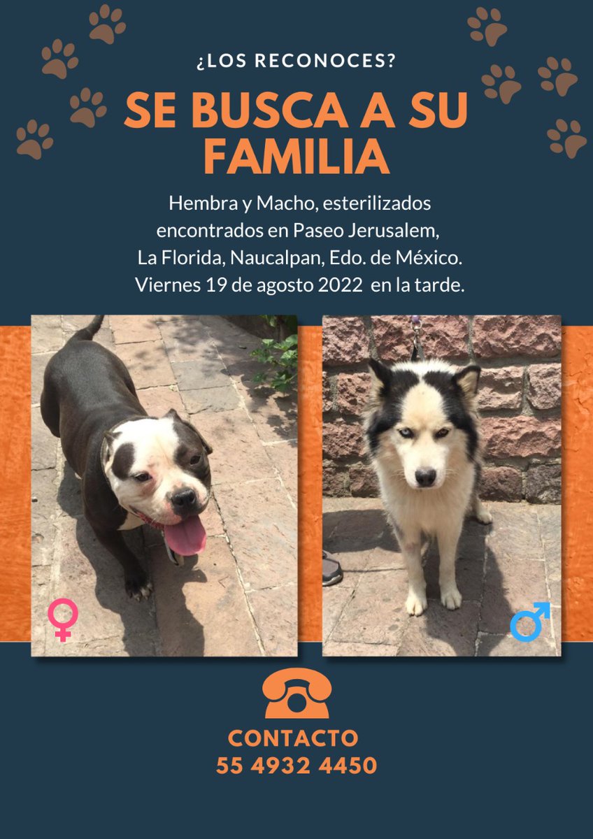 Me ayudan a compartir??  🙏❤️🐾