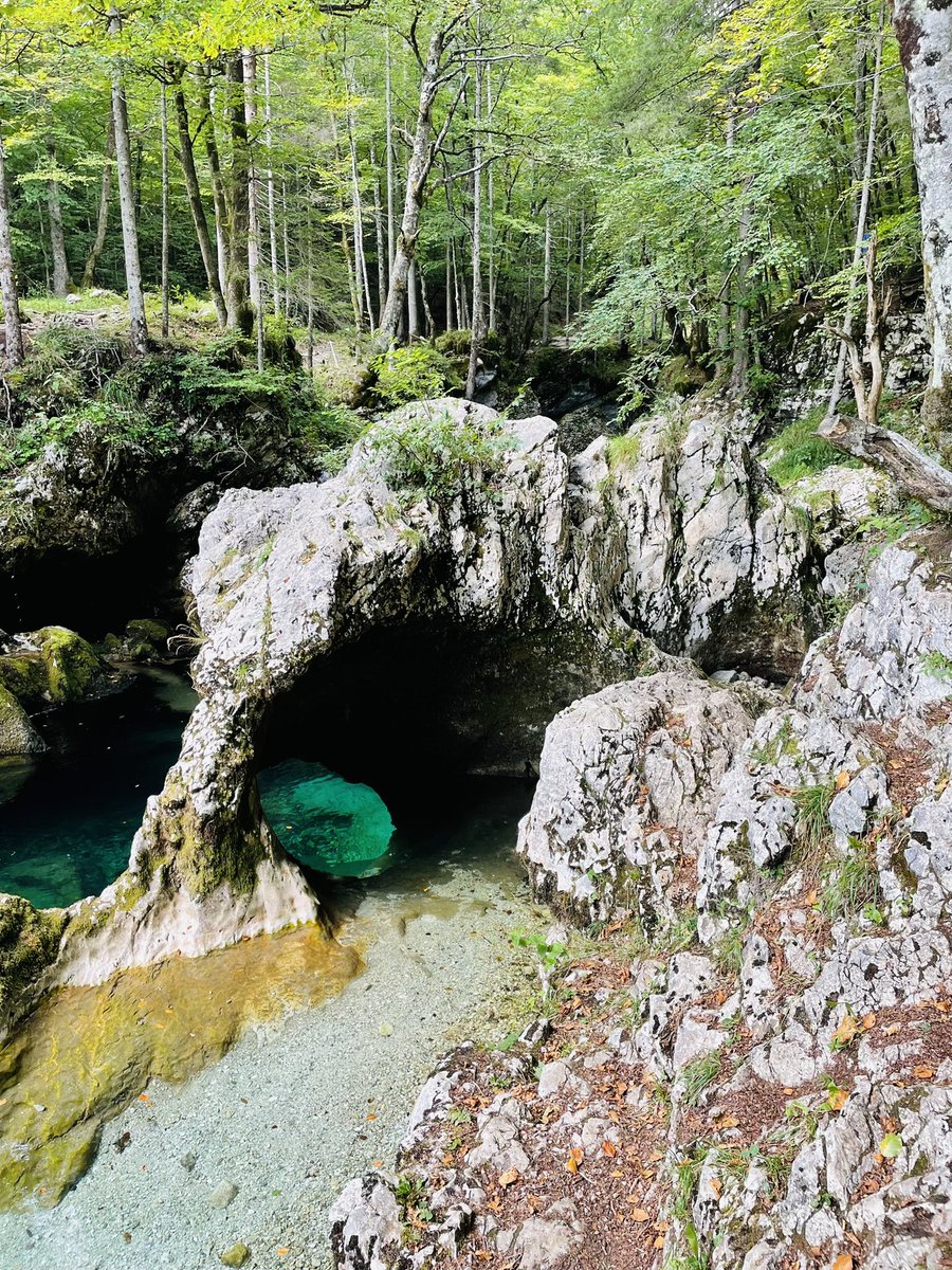mackebitz's tweet photo. Beautiful Slovenia with the family! If you love the Alps and the adventure you‘ll be flashed from 🇸🇮 #hiking #swimming #bohinjskajezero #bled #mostnice #triglavnationalpark https://t.co/BuCbyt4E5k