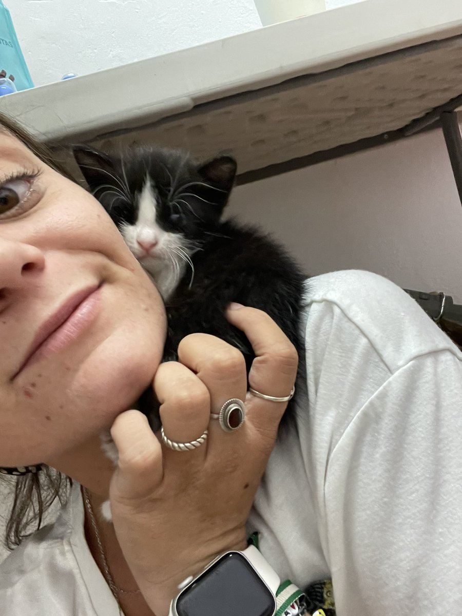 Albittaforttes1's tweet photo. Oreo es un bebé un pequeñito https://t.co/8gHdUa4TC2