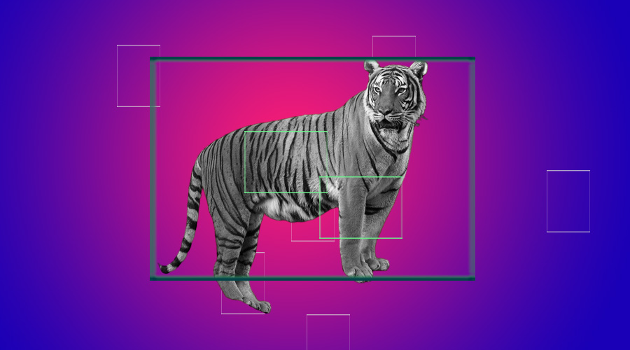 analyticsinme's tweet photo. The Big Deal of AI Analyzing Tiger Stripes! What does it mean to Humans?
https://t.co/Qyb2Ob9cLg
#AI #ArtificialIntelligence #AIAlgorithms #DataScience #Data #MachineLearning #MLProject #MachineLearningProject #AIAnalyzing #AINews #AnalyticsInsight #AnalyticsInsightMagazine https://t.co/nxnw6T0O19