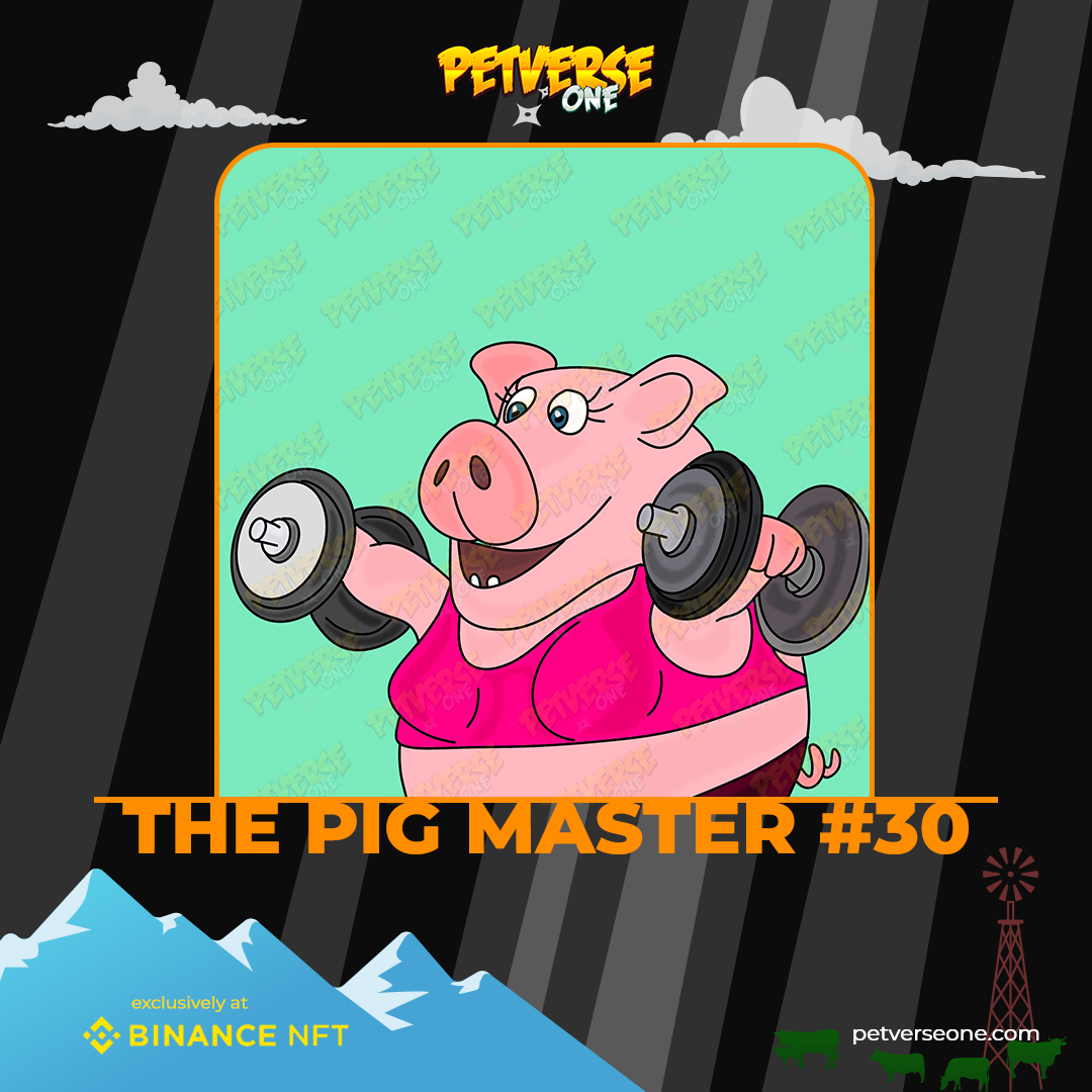 petverseone tweet media