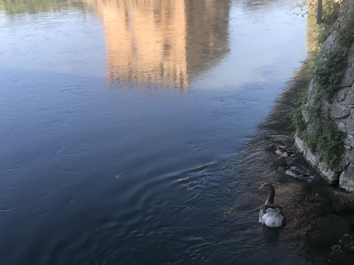 massimilianimrc's tweet photo. Reintegro a base di Radler a Borghetto sul Mincio

#vadovetiportalabici https://t.co/qKDk8CMsV3