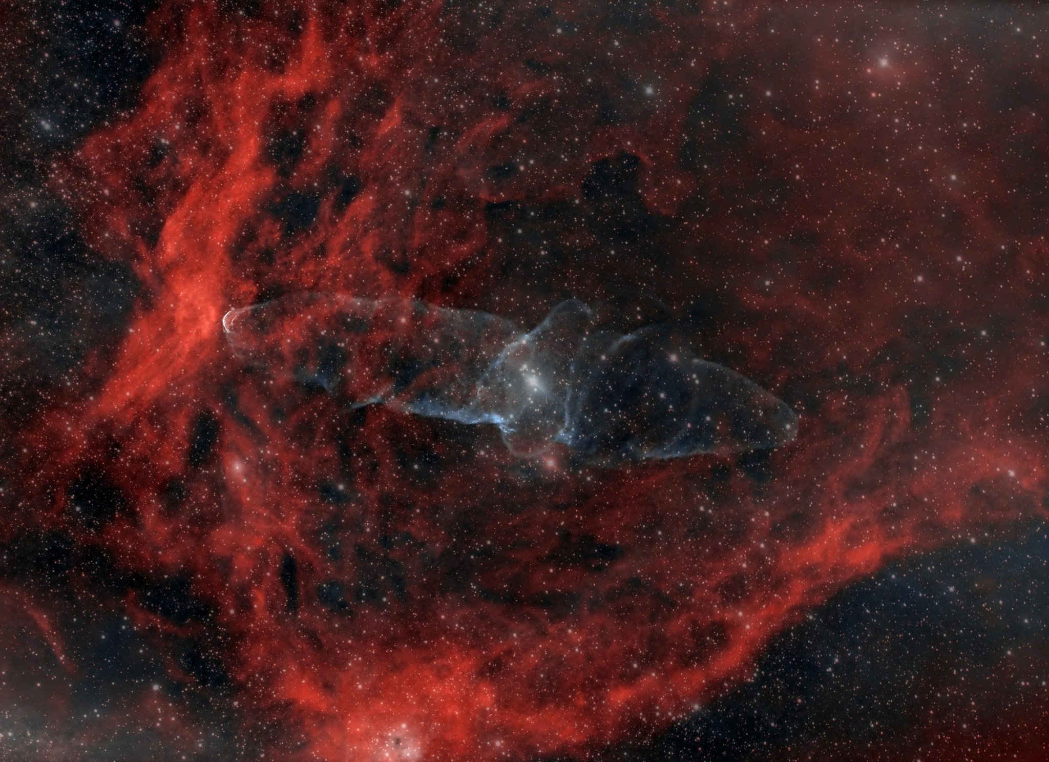 Dr Peter NFT On Twitter Squid And Flying Bat Nebulae Is Now 