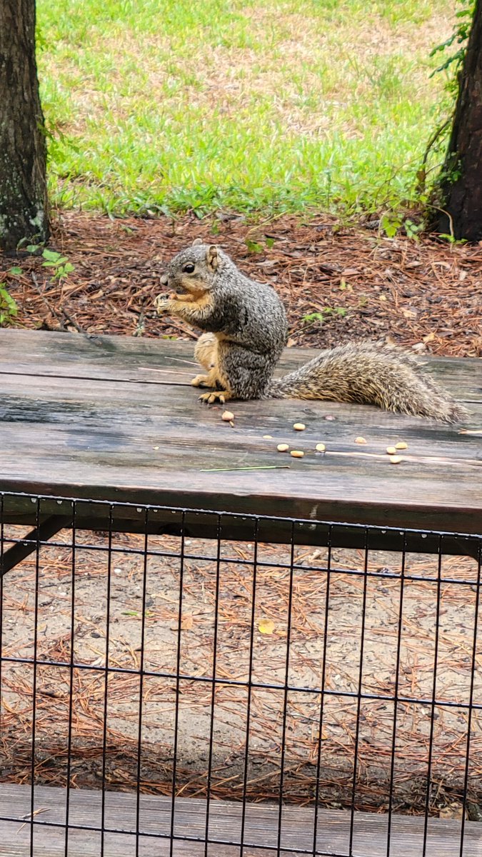 Lake Livingston State Park, beautiful!