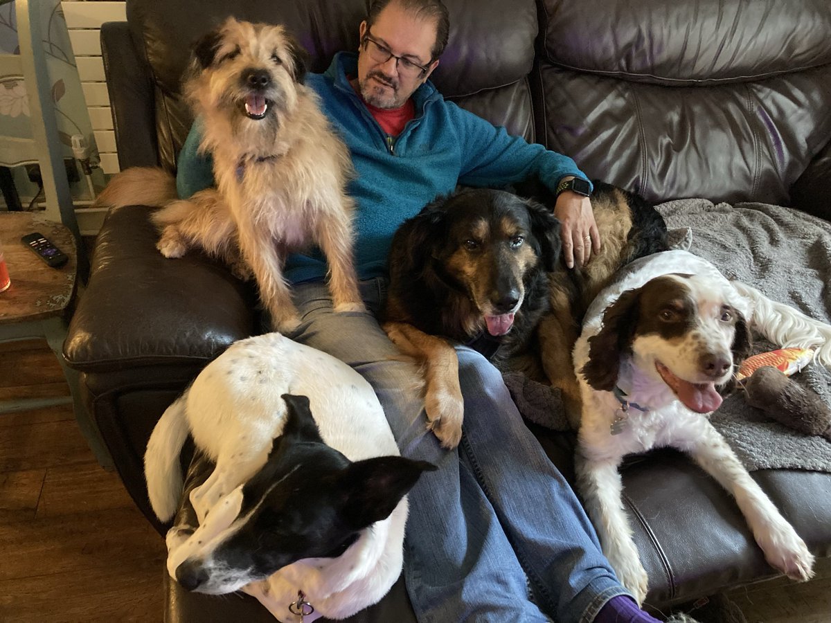 HopeForRonnie's tweet photo. Our darling Ronnie 🌈 

RIP 24th August 2021

As I prepared to leave for a night shift this time a year ago I didn’t realise I was saying goodbye forever 😢
@EvermoreDog https://t.co/jYtqmPxYtE
