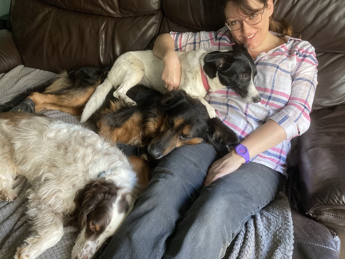Our darling Ronnie 🌈 

RIP 24th August 2021

As I prepared to leave for a night shift this time a year ago I didn’t realise I was saying goodbye forever 😢
<a href="/EvermoreDog/">EverMore Dog Rescue</a>