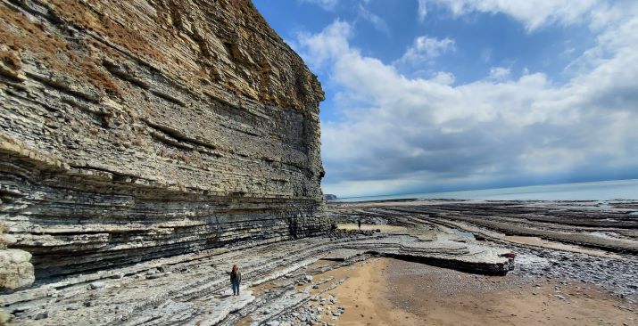 NARminerals's tweet photo. Back from a family wedding in Wales. Not all of the trip was non-geological. Had an amazing day fossil hunting at Dunraven Bay where the mid-Jurassic #rocks (Lias Formation) are exposed providing views of large #ammonites, #gryphaea "Devil's Toenails" &amp; more! https://t.co/5PGUfRXsHy