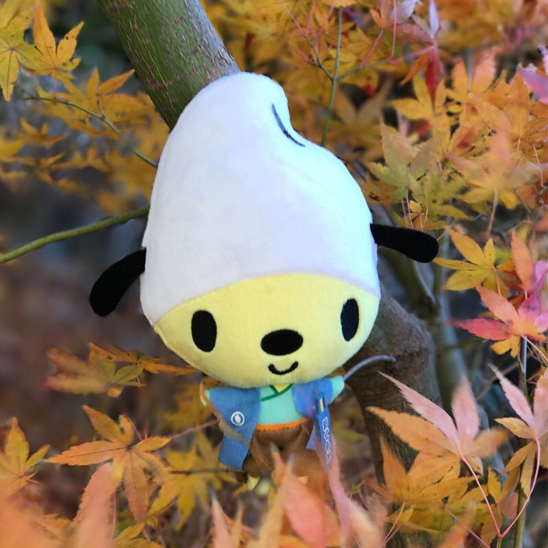 Mondo Mascots on Twitter "Okome Ken, a samurai dog wearing a giant