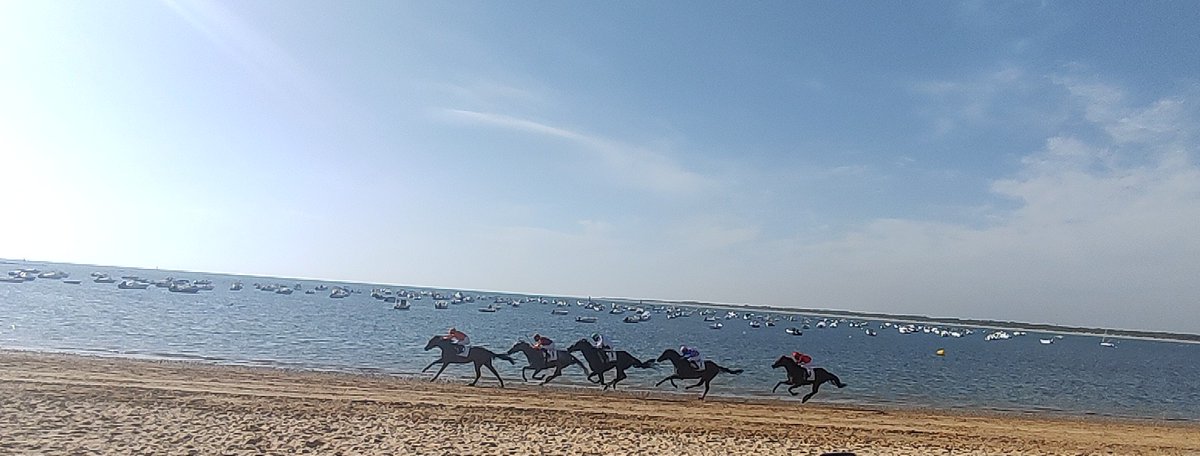 Lorena_F_R's tweet photo. #carreradecaballos #carreras #caballos #Sanlucar #SanlucardeBarrameda #Hoy https://t.co/awlAmJ396y