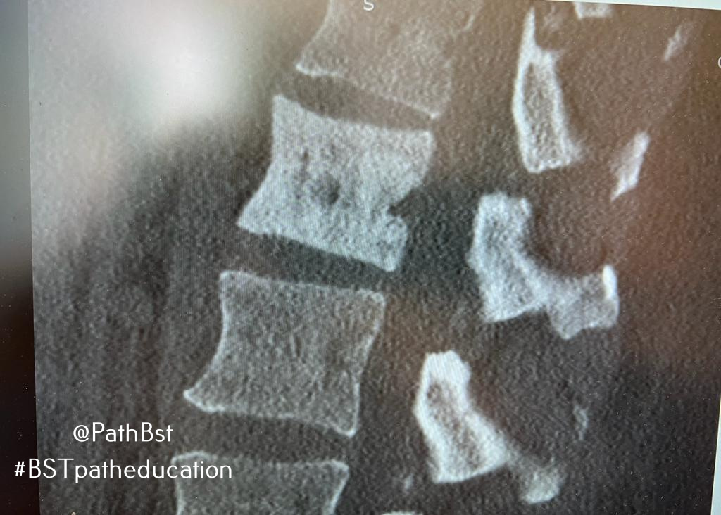 BST Path Education tweet media