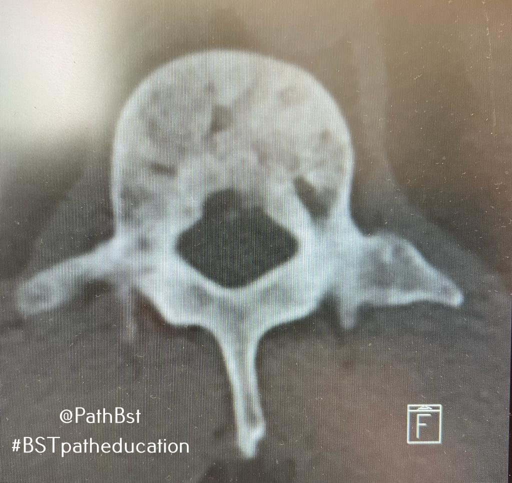 BST Path Education tweet media