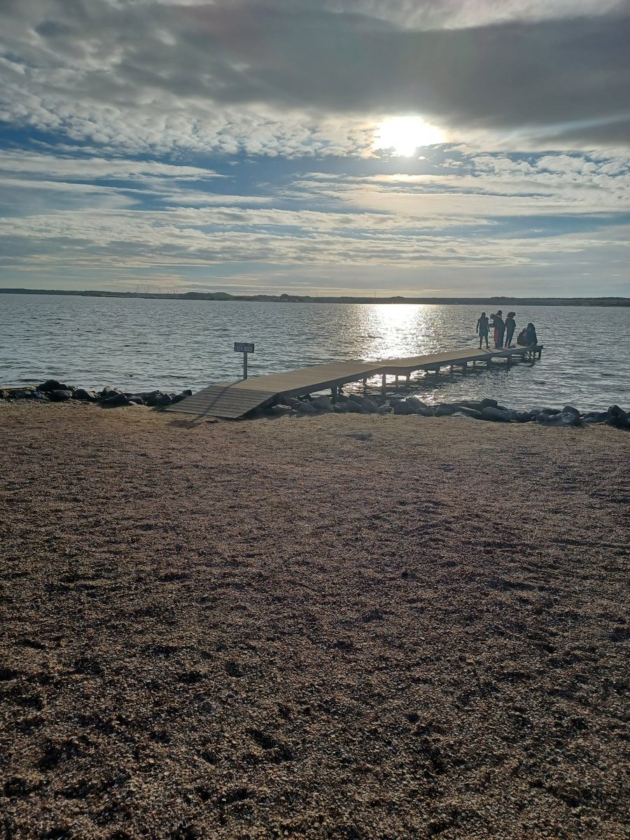 гипербоярышник 🐏🤏 tweet media