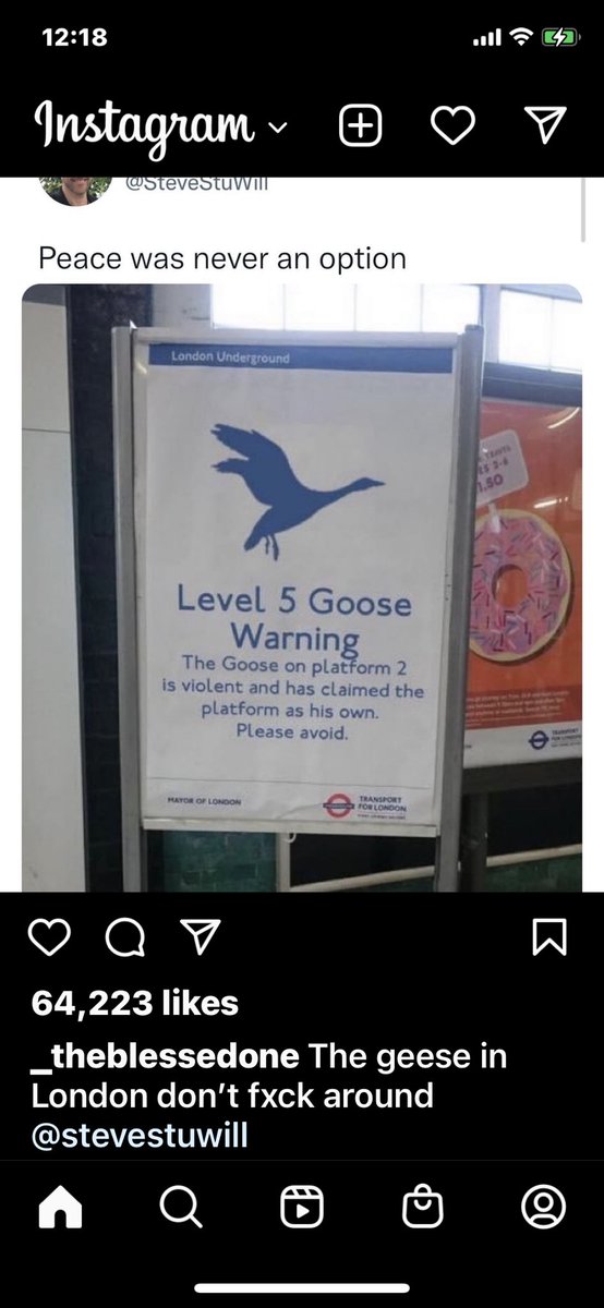 WildeScript's tweet image. Out of 5? If only this was the worst of our problems. Be kind. Love your peeps. Maybe learn to confit. #GraphicDesign