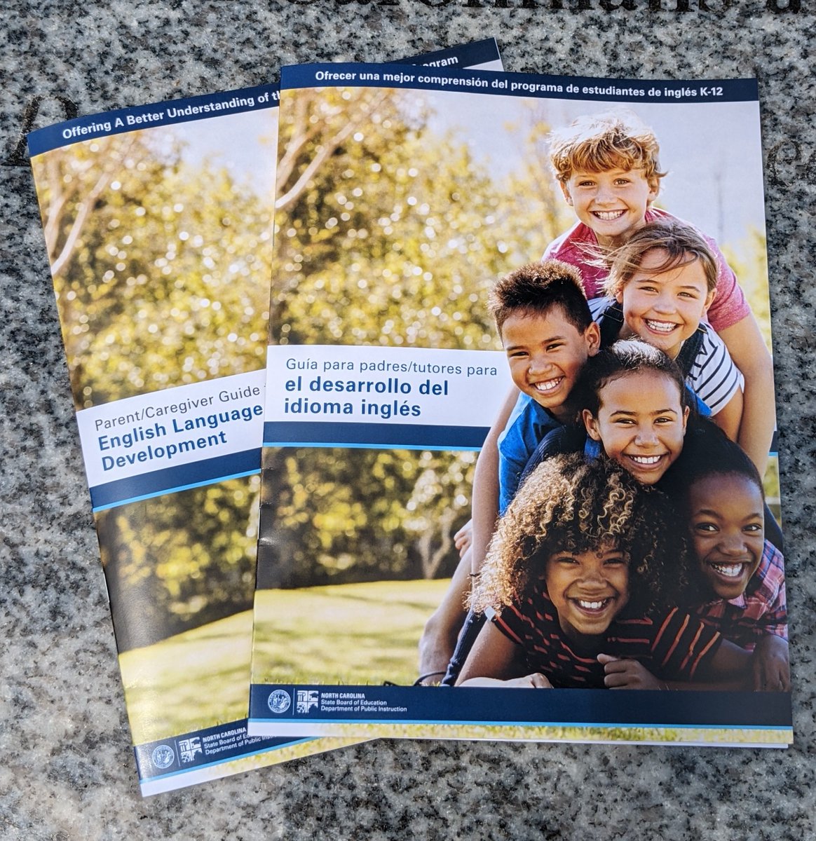 NCDPI_MLs's tweet photo. Have you explored the NC Parent/Caregiver Guide for English Language Development? #NCELD #NCMLs #Together4MLs This resource is available in English and Spanish!! https://t.co/WtGwD4ML4w https://t.co/VLZa4DpzFm