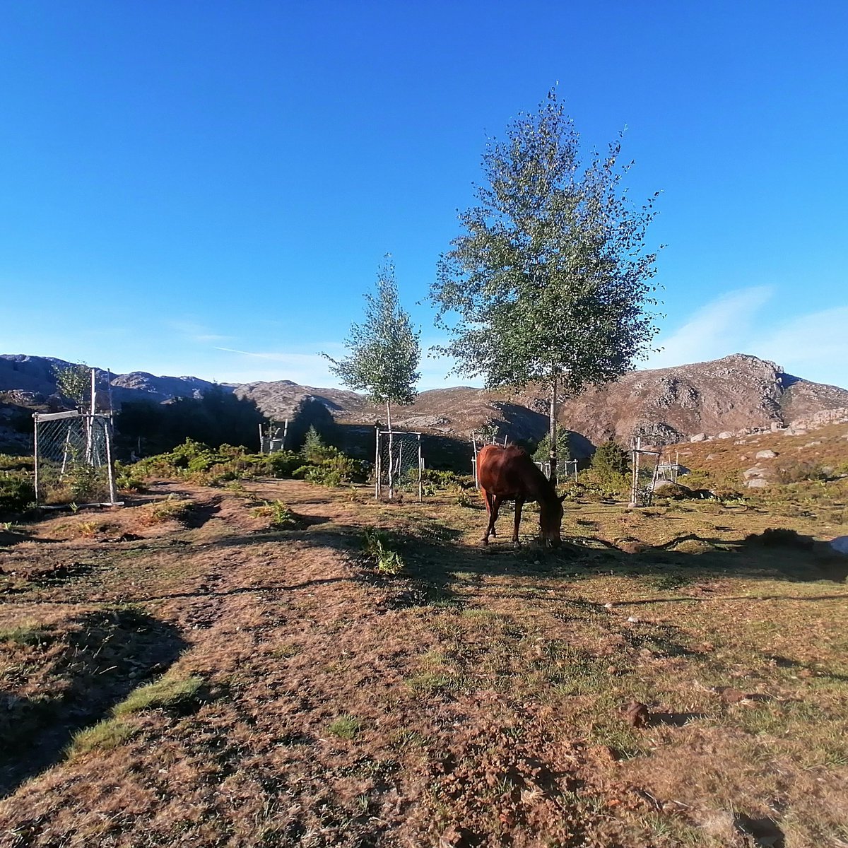 Cabril Eco Rural tweet media