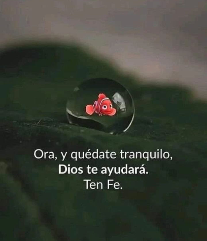 diazmillan's tweet photo. ¡ FE ! https://t.co/m9hZBhvVge