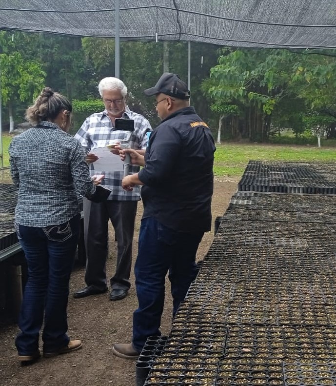 Comisión Forestal tweet media