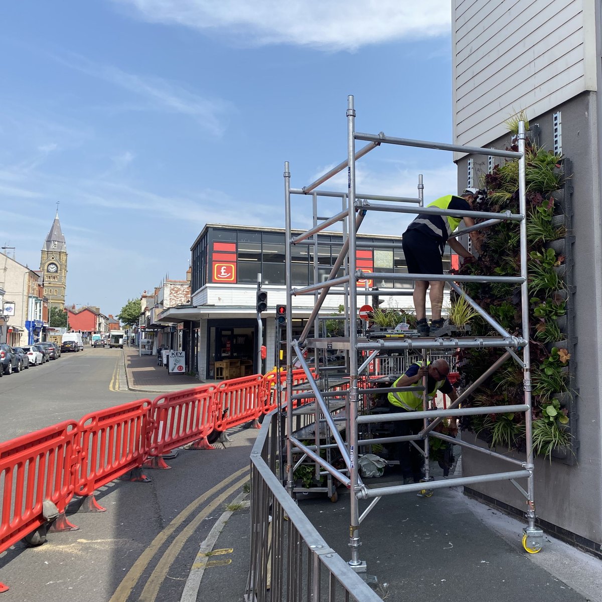 RCSwales's tweet photo. RCS is all about #wellbeing... not only does that mean the wellbeing of people, but planet and animals too 🌍 Our Living Wall is part of the #RhylRegeneration project, making the town a greener and cleaner space and is an essential part of establishing a #beecorridor 🐝 in Rhyl! https://t.co/SQKzJRl5If