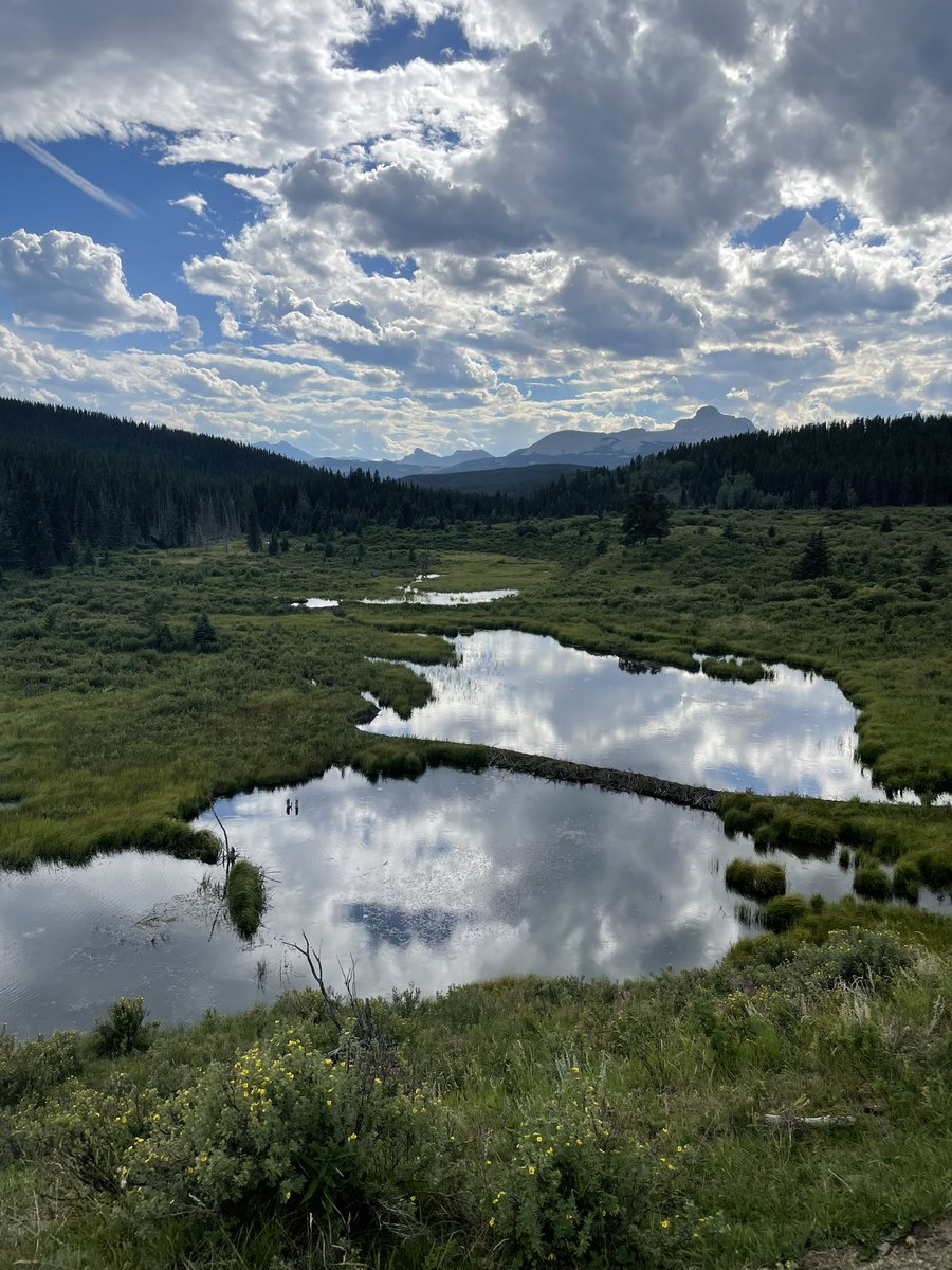 HarrisonAmanda_'s tweet photo. That’s a wrap on the 2022 field season! So thankful to be part of the Rocky Mountain Ecohydrology field crew and to spend my summer conducting riparian health assessments, hunting for beaver dams, and so much more💧🦫 (huge thanks to @ecohydro_gal for having me join the team) https://t.co/3bYYBv9s5u