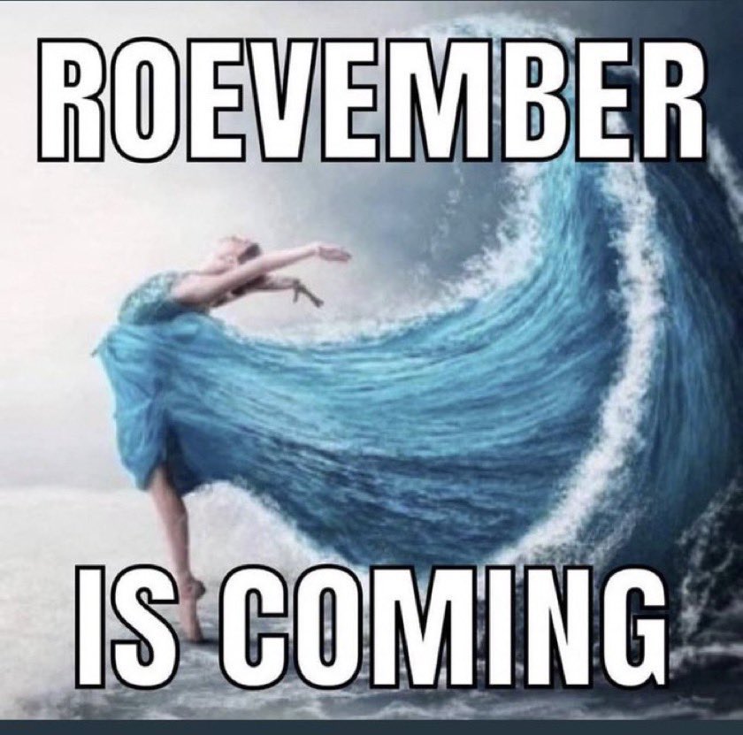 HilliardForCong's tweet photo. Remember, this Roevember:
What happens in the voting booth, stays in the voting booth.
#ProChoice #Roevember #WomensRights #HealthCare #ReproductiveRights #BlueRepublicans https://t.co/O0ZPVMSGdH