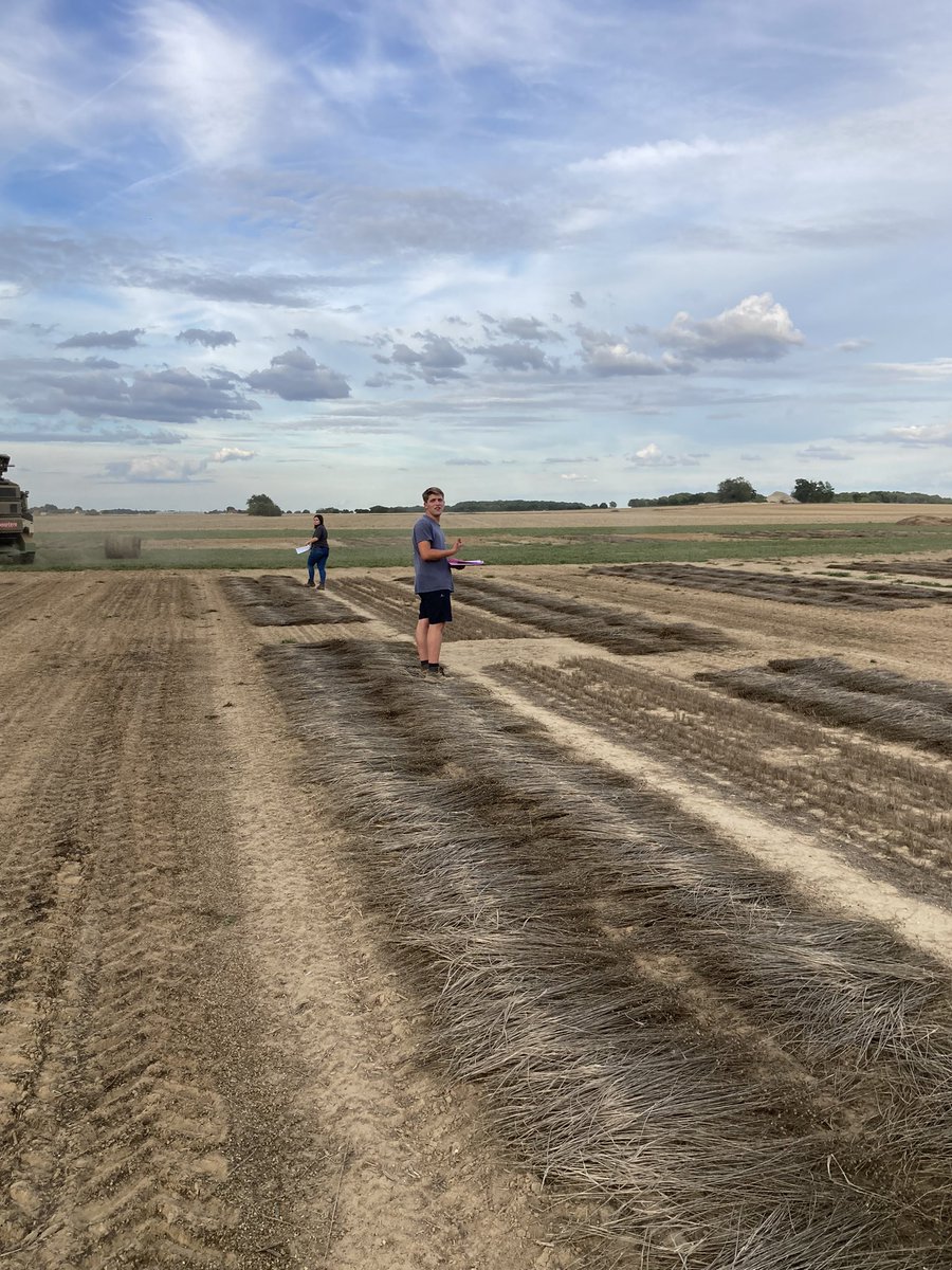 benoit_nmd's tweet image. Récolte de la plateforme #linfibre @ArvalisHdF - évaluation variétale, besoin en eau et effet du travail du sol. Merci à @QuentinDecock pour le chantier de récolte! @Bluesy27 @YFlodrops @Reynald_Linea @TerredeLin @BDepourcq @VDBZadenVlas