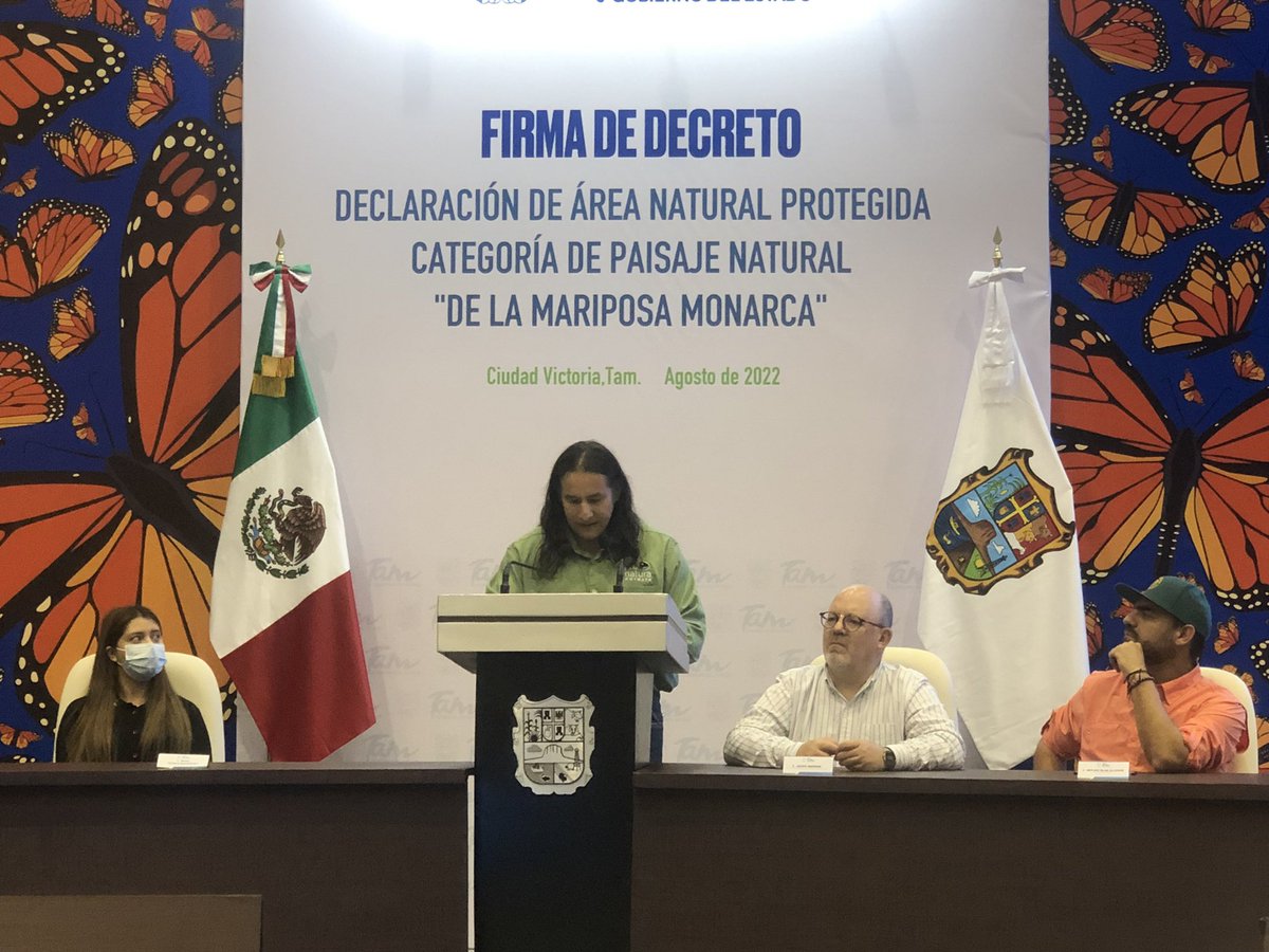 pronaturane's tweet photo. Gracias al equipo por su esfuerzo y dedicación para la conservación de la ruta migratoria de la mariposa monarca y a @gobtam y donates por el reflejo de una estrategia integral @WyssCampaign, @RainforestTrust, @UAT_mx, @WRIMexico @TerraPeninsular”. Adrián Varela @pronaturane https://t.co/Qi79KjSlI6