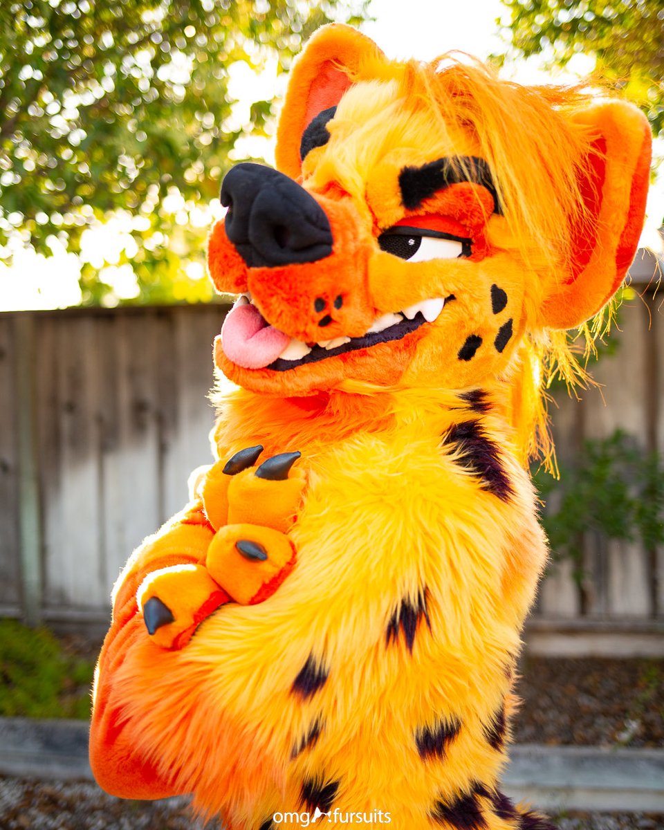 omgfursuits's tweet photo. Hyenas and Flamin Hot Cheetos go together really well 🌶🔥 #fursuit https://t.co/LPl9u18CnN