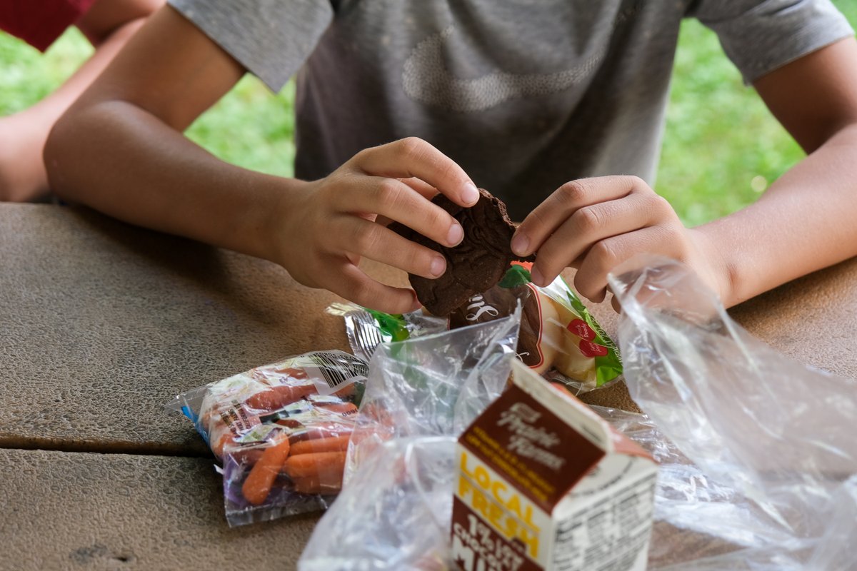 NBCNews's tweet photo. Missouri chose not to opt in to a federal waiver that allows parents and kids to pick up meals and take them home, resulting in a dramatic drop in the number of meals that kids received: up to 97% fewer than last summer at some sites. https://t.co/DWw8gBf4XV https://t.co/s0qznTw0SB