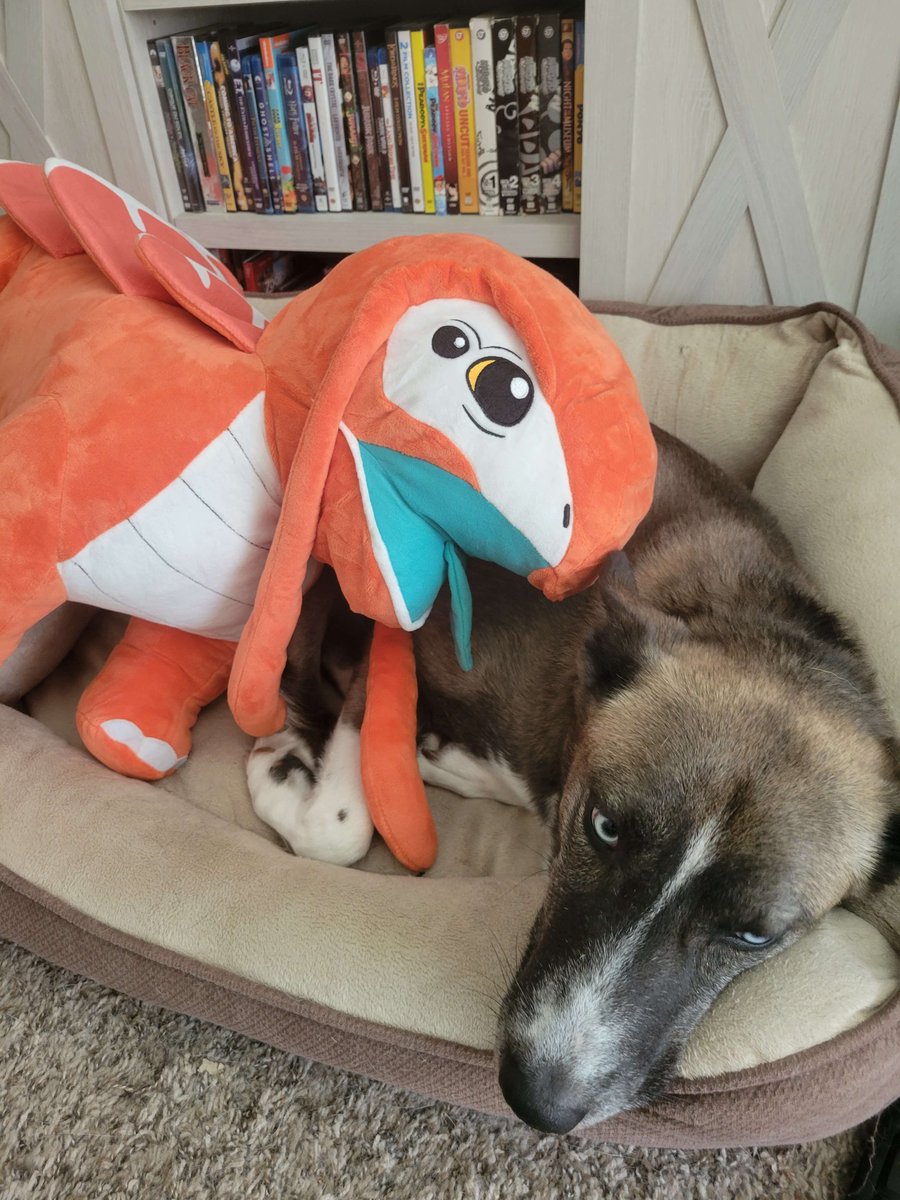 rosser_kenny's tweet photo. #LizardDoggo with #doggo 

Got my lizard doggo from @SatisfactoryAF last night! https://t.co/PF4P9Tw7uP