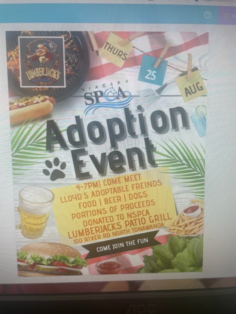 Niagara SPCA tweet media
