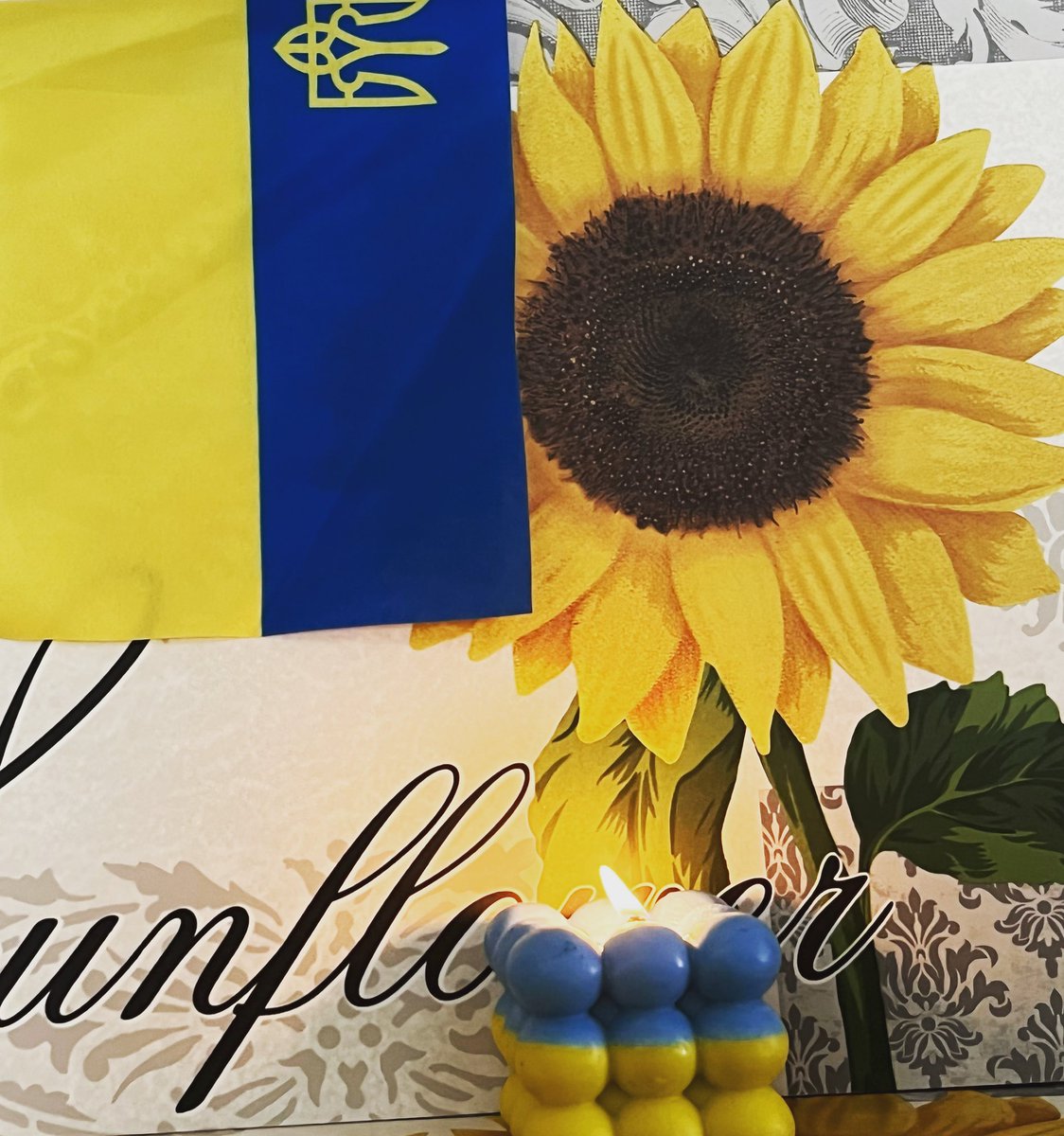 kulyk_iryna's tweet image. #Sparkofcourage #NYC