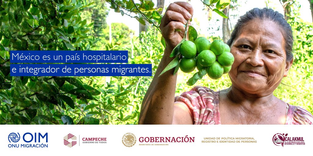 DDHHSEGOB_CAMP's tweet photo. Organizaciones como la #OIM, la #UPMRIP y el Gobierno de Campeche nos unimos para promover sociedades más inclusivas, libres de #discriminación y la #xenofobia 

#JuntosPorLosMigrantes #DDHH #Migración https://t.co/bSwYm0Befb