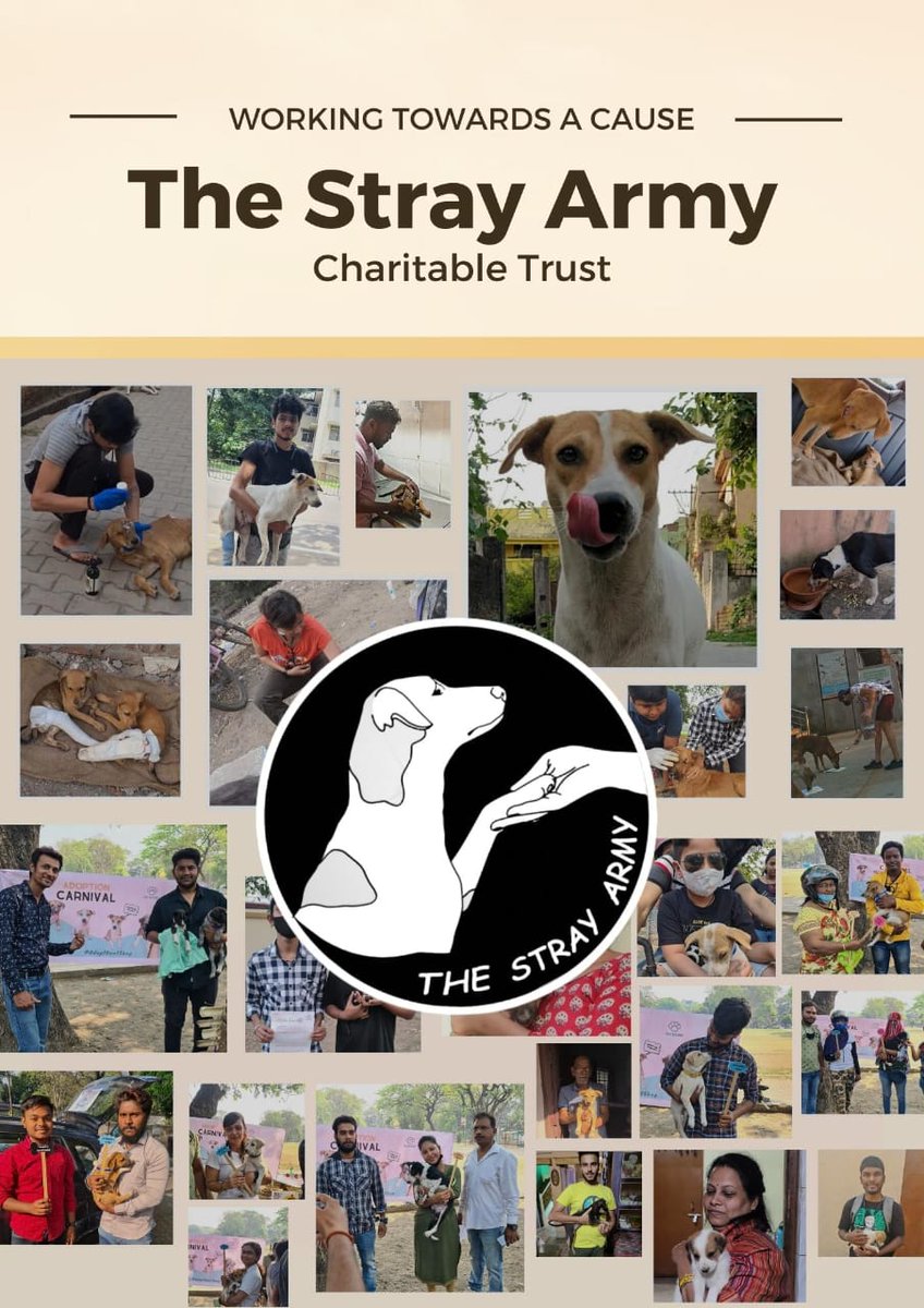 thestrayarmy's tweet photo. Readers of Twitter, 
We are a team of 12 youngsters, working towards a cause for animals for past 2 years.
Please Support Our Work by connecting with us on different social media platforms or by donating some amount. And if you want to volunteer, contact us anytime.😇 https://t.co/00D3OgcuOy