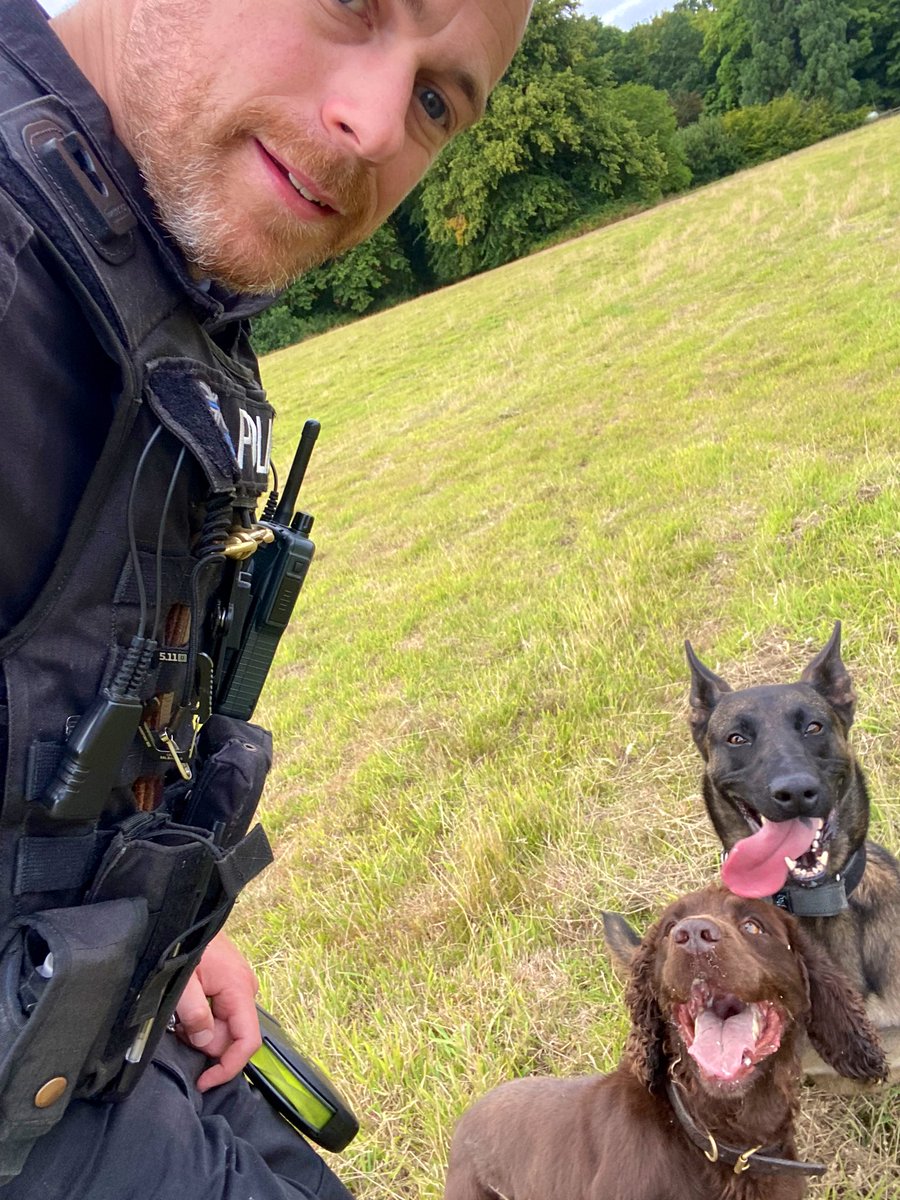 PD Xena & PD Teddy tweet media