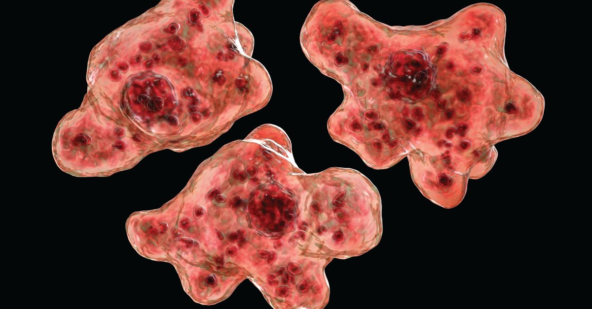 WebMD's tweet photo. The death of a child in Nebraska is being linked to brain-eating amoeba which happened after swimming in a local river. What to know about this rare, yet deadly infection: https://t.co/0jASduqpo1 https://t.co/dvPFjKJmmZ