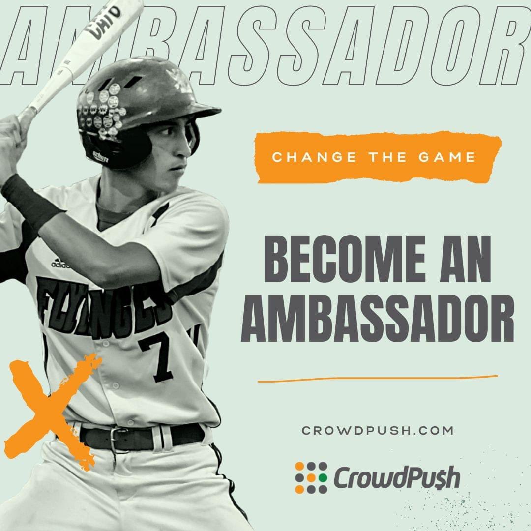 CrowdPush tweet media