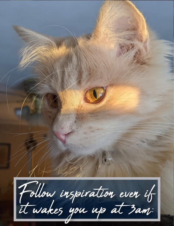 MurdyCreativeCo's tweet photo. This week's #writingtips is paw-sitively adorable!!
https://t.co/Zsy5e4vhLs https://t.co/leCQuF8SoH