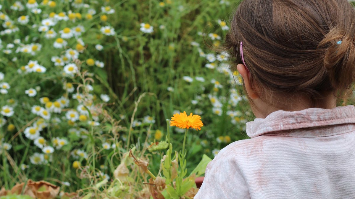 At the Library tweet media