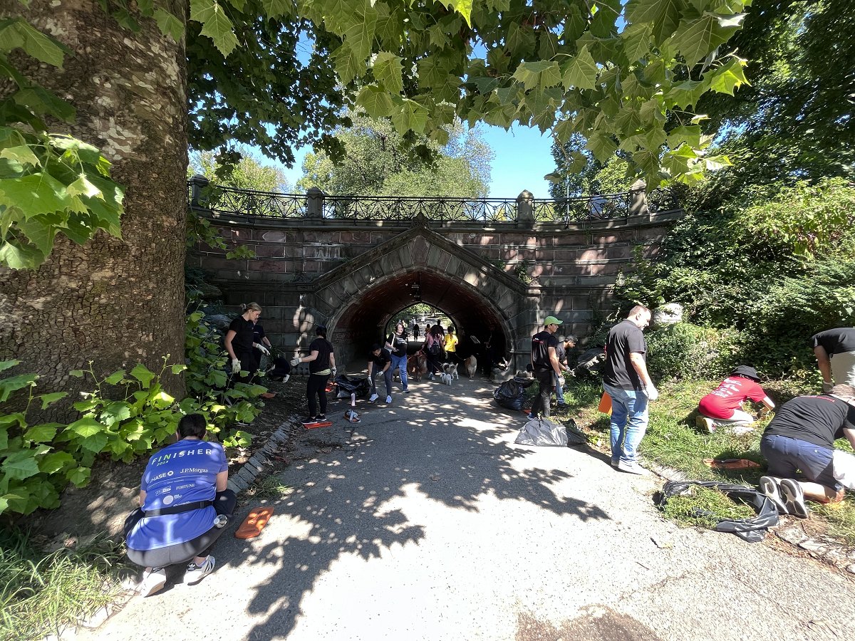 SPGlobal's tweet photo. Nearly 40 @SPGMarketIntel colleagues volunteered over 120 hours removing invasive plants and weeds in NYC’s Central Park with @CentralParkNYC last week. #SPGlobalImpact https://t.co/3jo2sKTGbe